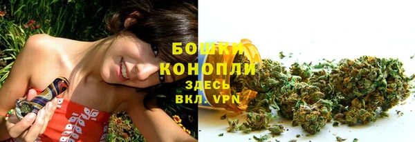 прущая мука Няндома